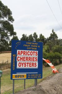 Look for our Blue and Gold Sign just out of Sorell on the Arthur Highway
